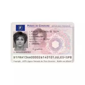 FRENCH DRIVER’S LICENSE FRENCH DRIVER’S LICENSE