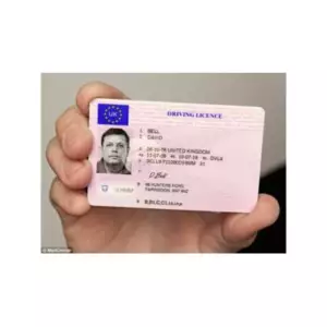 ICELANDIC DRIVER’S LICENSE ONLINE ICELANDIC DRIVER’S LICENSE ONLINE