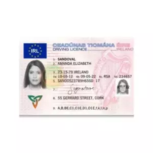 IRISH DRIVER’S LICENSE IRISH DRIVER’S LICENSE